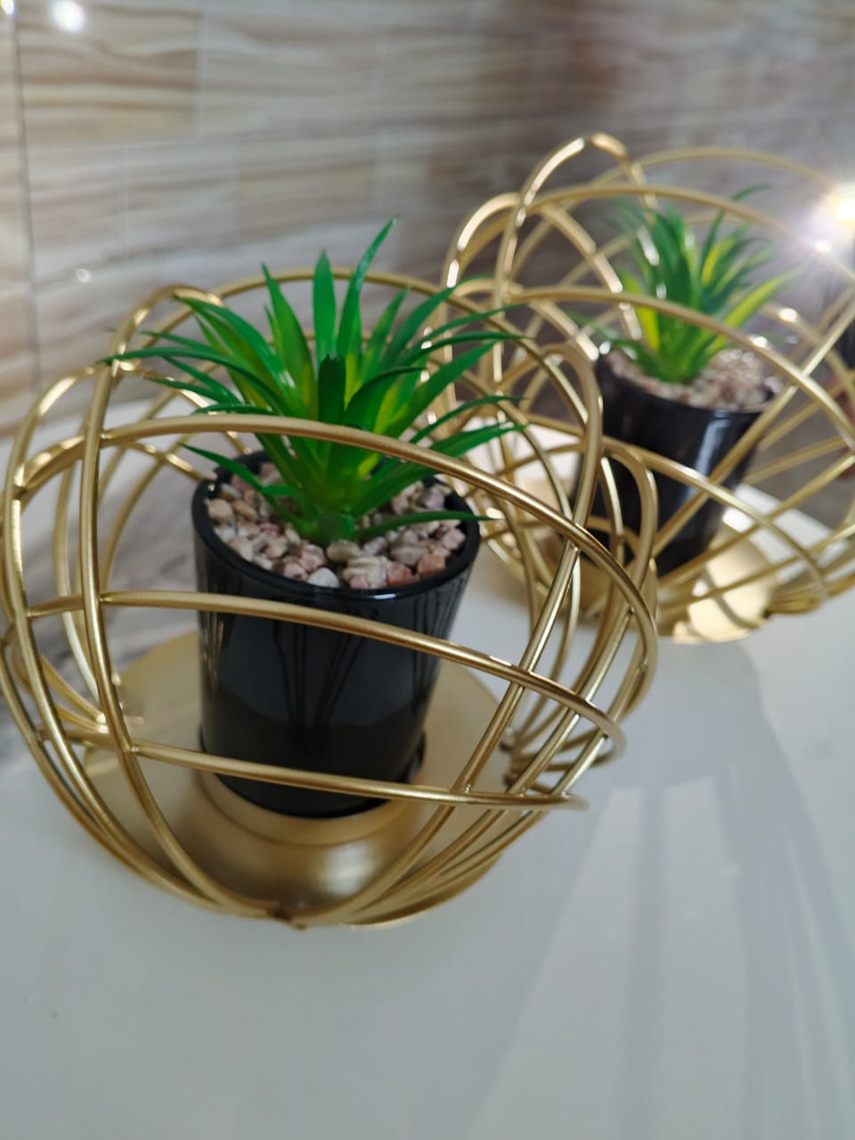 Stainless steel cactus planter