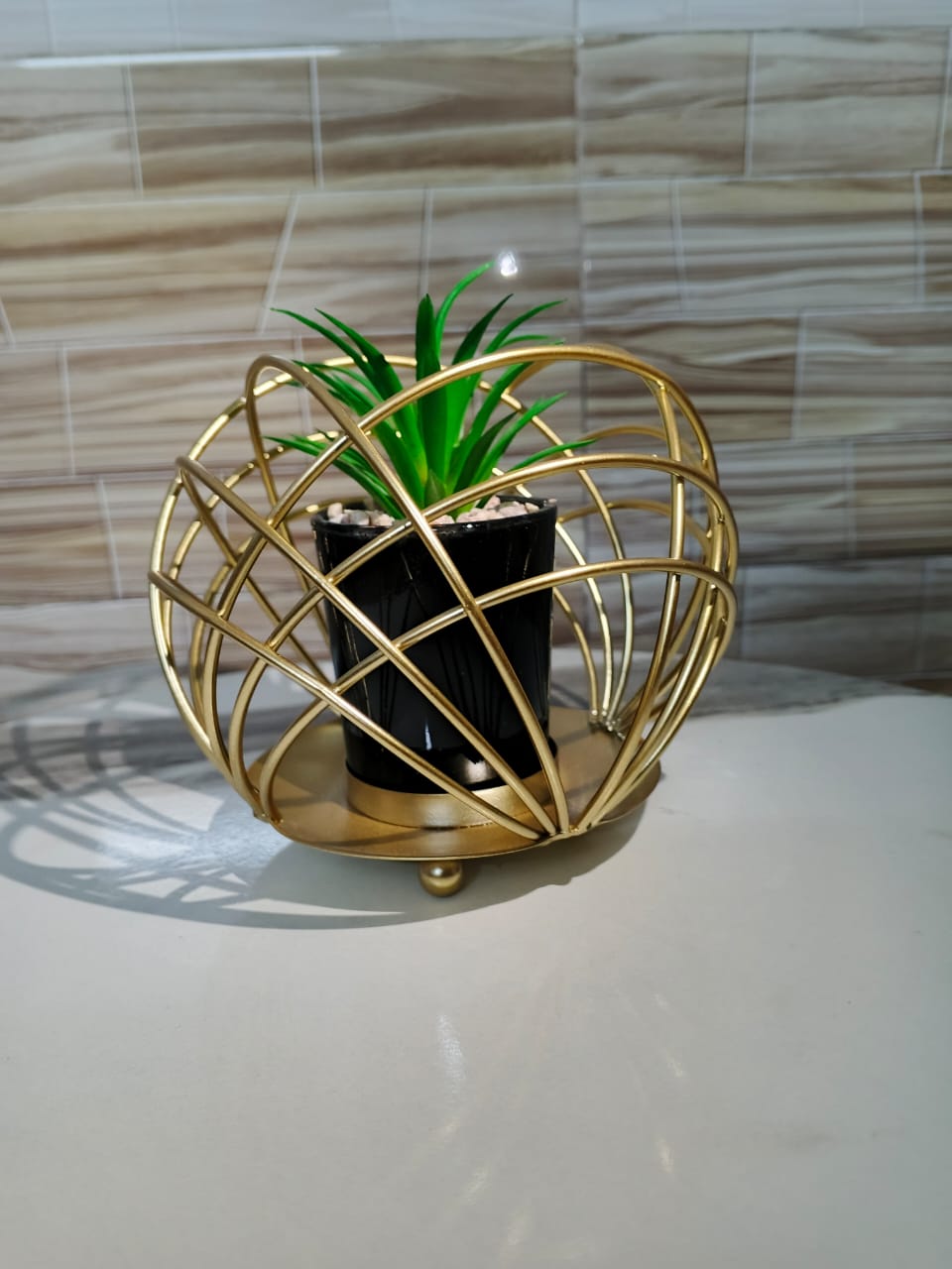 Stainless steel cactus planter